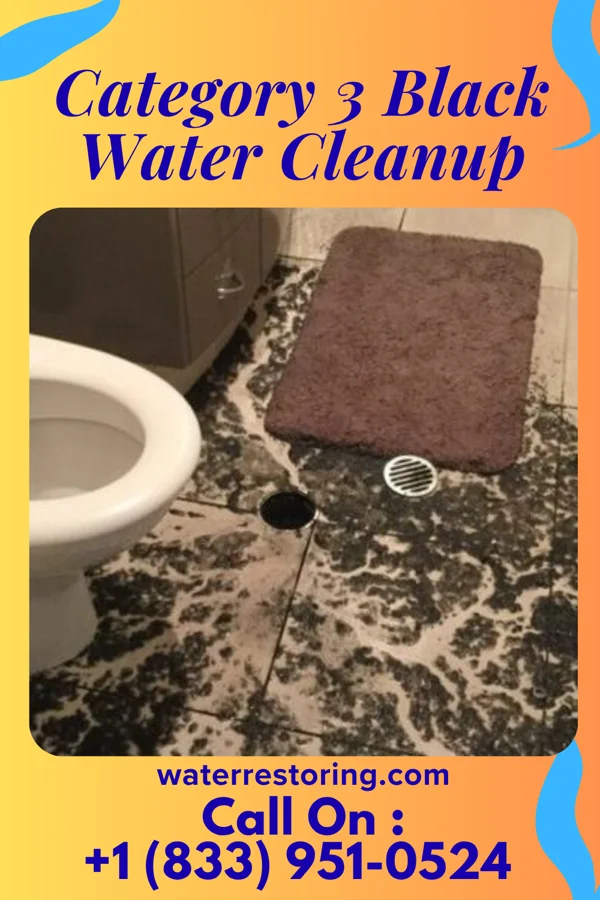 Category 3 Black Water Cleanup in Whitehall, MI