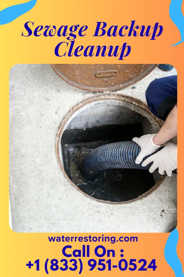 Sewage Backup Cleanup in Whitehall, MI