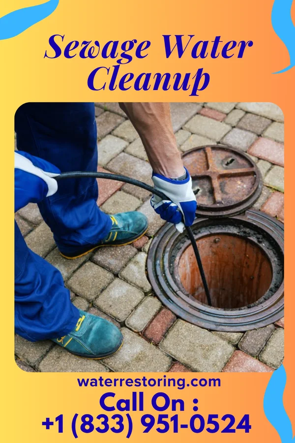 Sewage Water Cleanup in Whitehall, MI