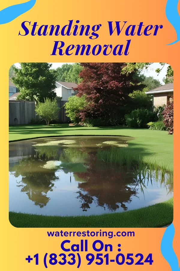 Standing Water Removal in Whitehall, MI
